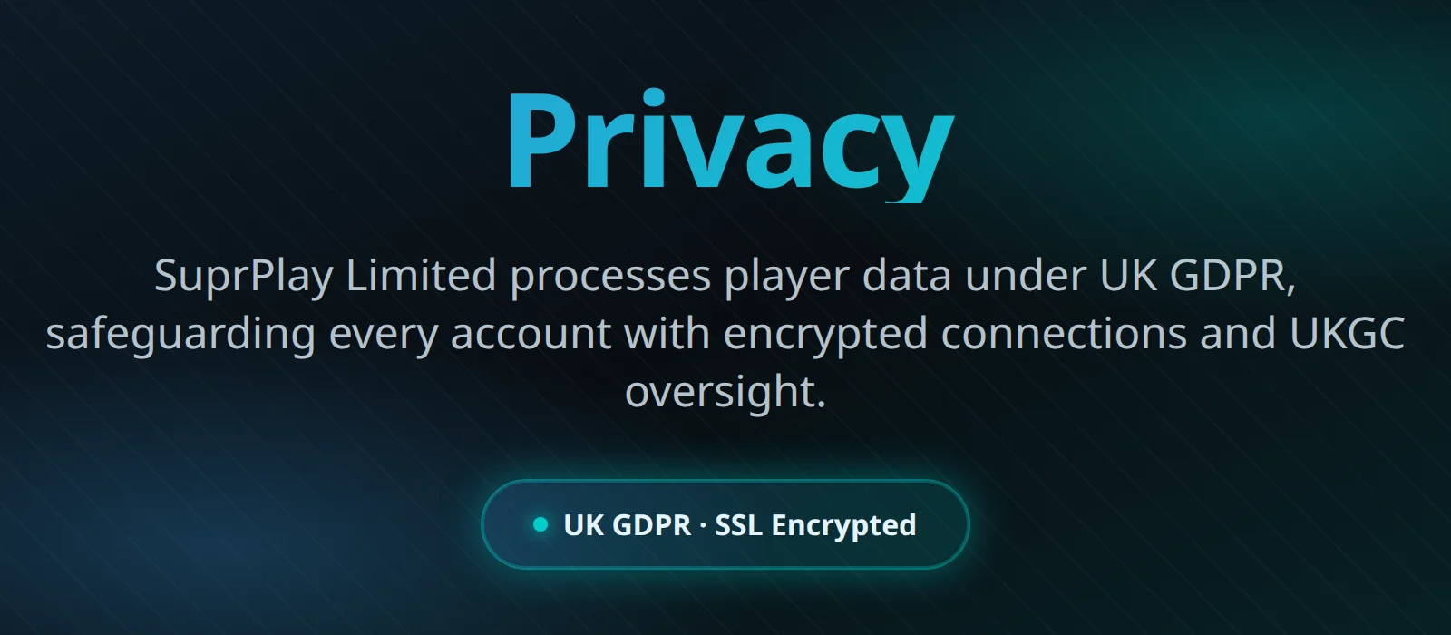 Duelz Casino affiliate review site privacy policy illustration